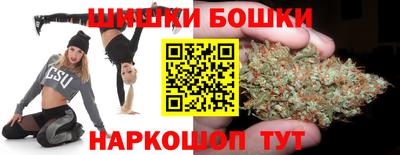 гидра Татарск