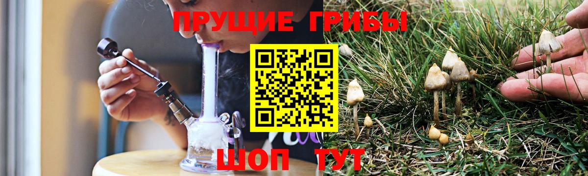 Галлюциногенные грибы Cubensis  Вход с VPN  Алексеевка  купить наркотик  Псилоцибиновые грибы Psilocybe 