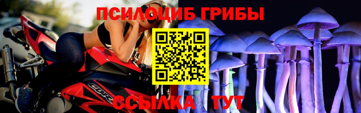 Галлюциногенные грибы Psilocybine cubensis Алексеевка