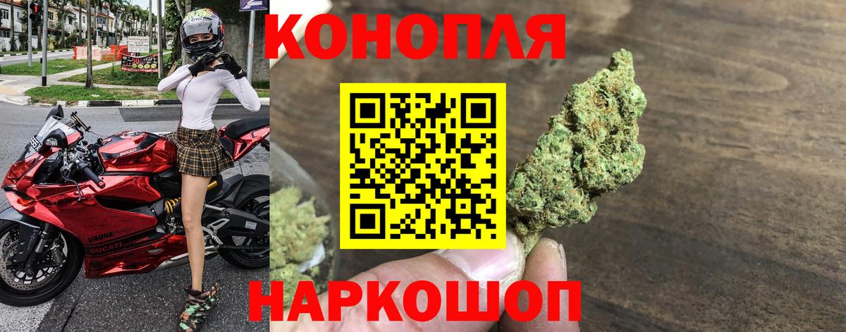 Бошки Шишки сатива  Марихуана планчик  Вход с VPN  Бошки Шишки LSD WEED  Алексеевка 